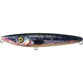 actionpeche-1862169