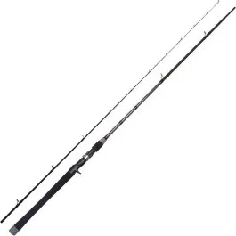 actionpeche-1864434