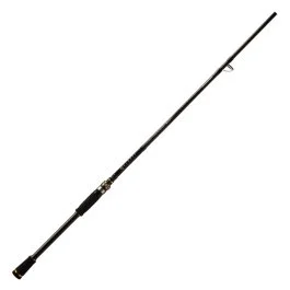 actionpeche-1864944