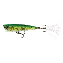 actionpeche-1865403