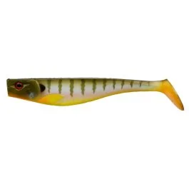 actionpeche-1865807