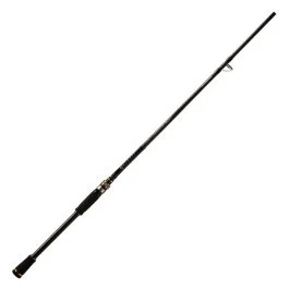 actionpeche-1866112