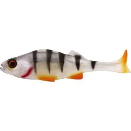 actionpeche-1866521