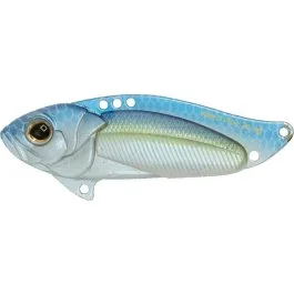 actionpeche-1867098