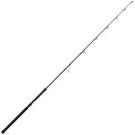 actionpeche-1867464