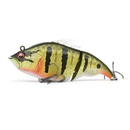 actionpeche-1867820