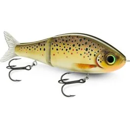 actionpeche-1868109