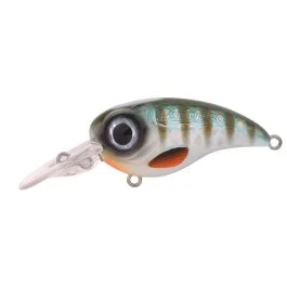 actionpeche-1868235