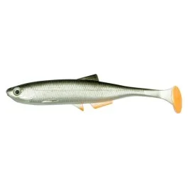 actionpeche-1868332