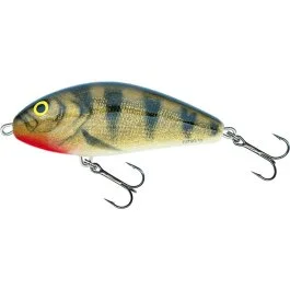 actionpeche-1868430