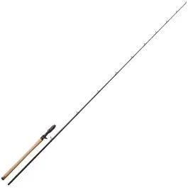 actionpeche-1868518