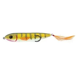 actionpeche-1868540