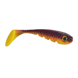 actionpeche-1868814
