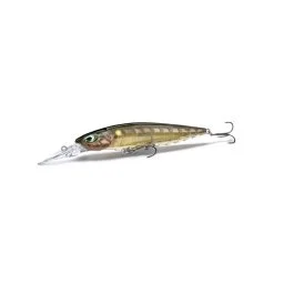 actionpeche-1868865