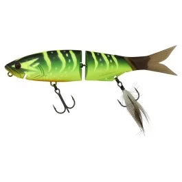 actionpeche-1869224