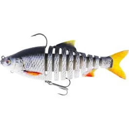 actionpeche-1869301