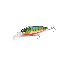 actionpeche-1869718