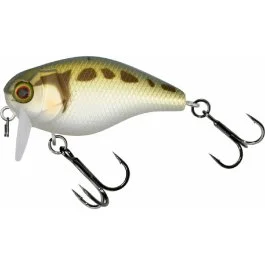 actionpeche-1869992