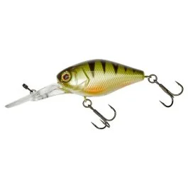 actionpeche-1870008