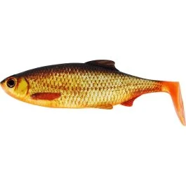 actionpeche-1870613