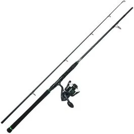 actionpeche-1870806