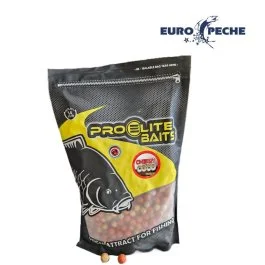 actionpeche-1870816