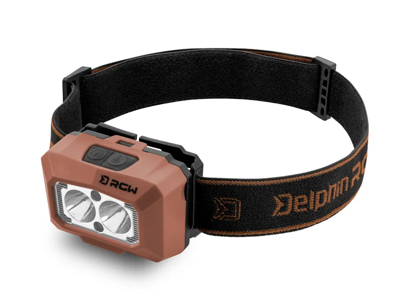 delphinpeche-1840550