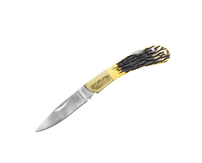 delphinpeche-1842479