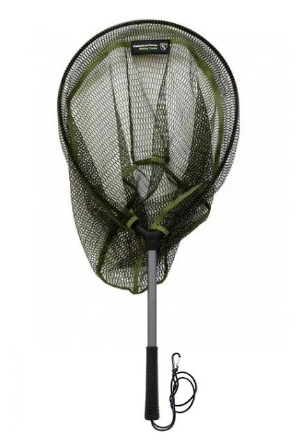 delphinpeche-1848365