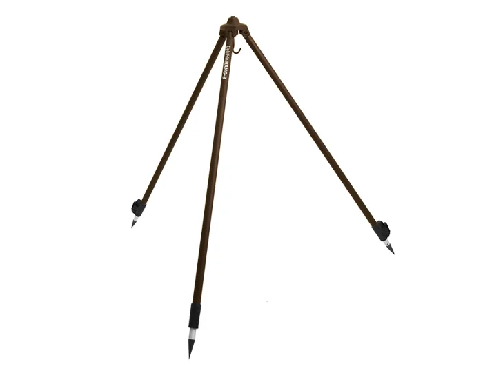 delphinpeche-1849321