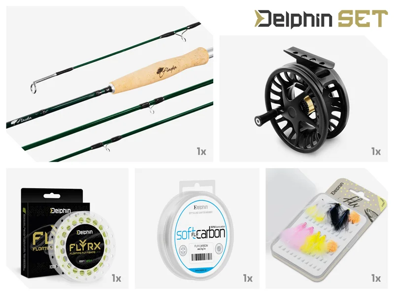 delphinpeche-1857823
