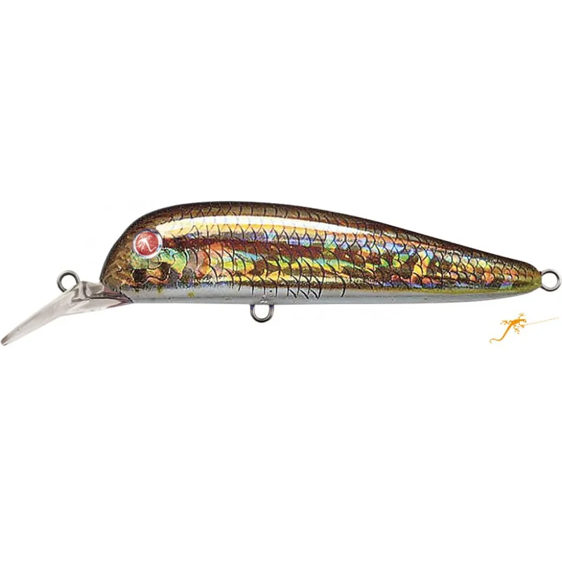 dimensionepesca-1863185