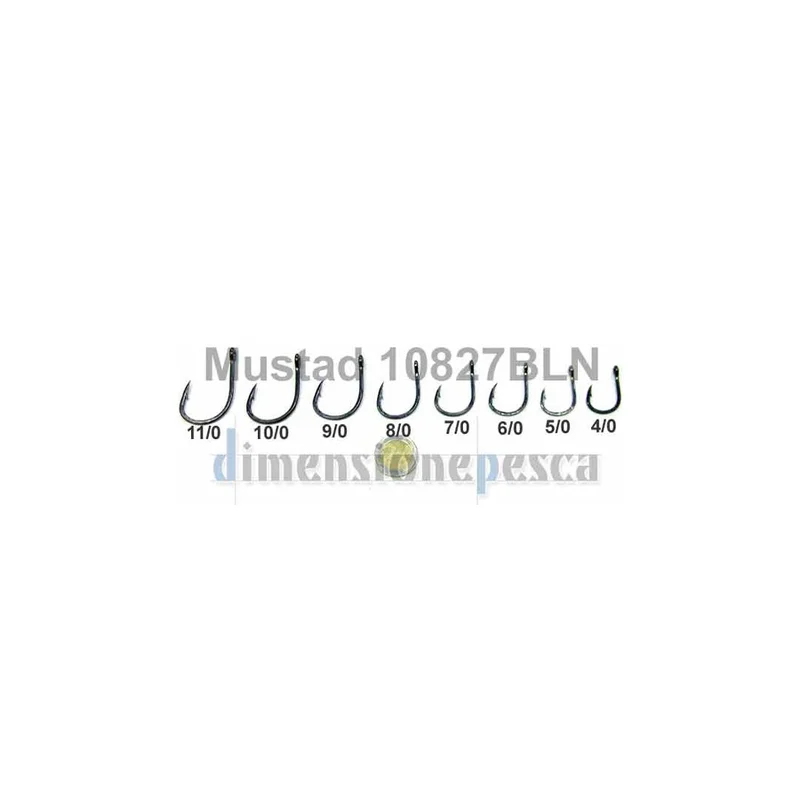 dimensionepesca-2033828