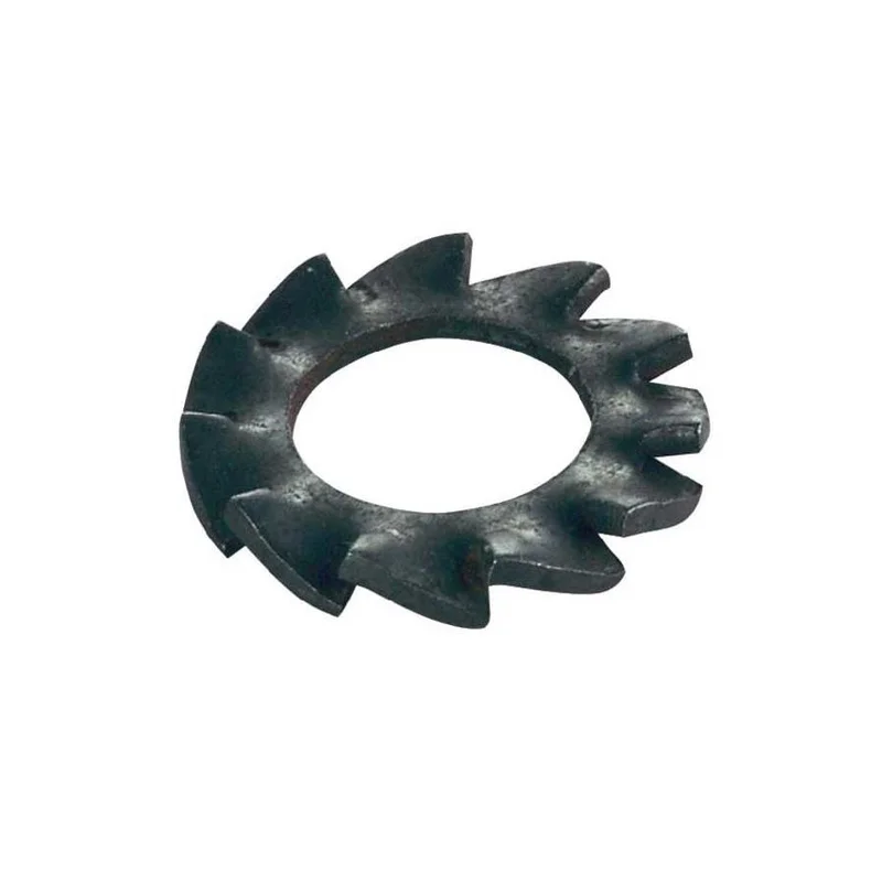 dimensionepesca-2034071