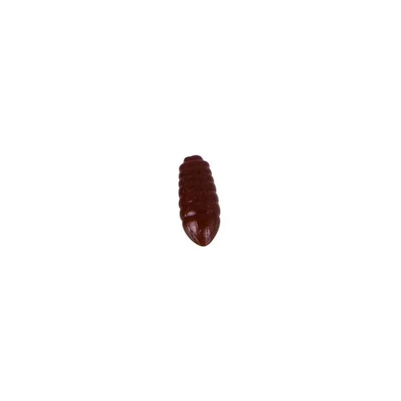 feedershop-1845229