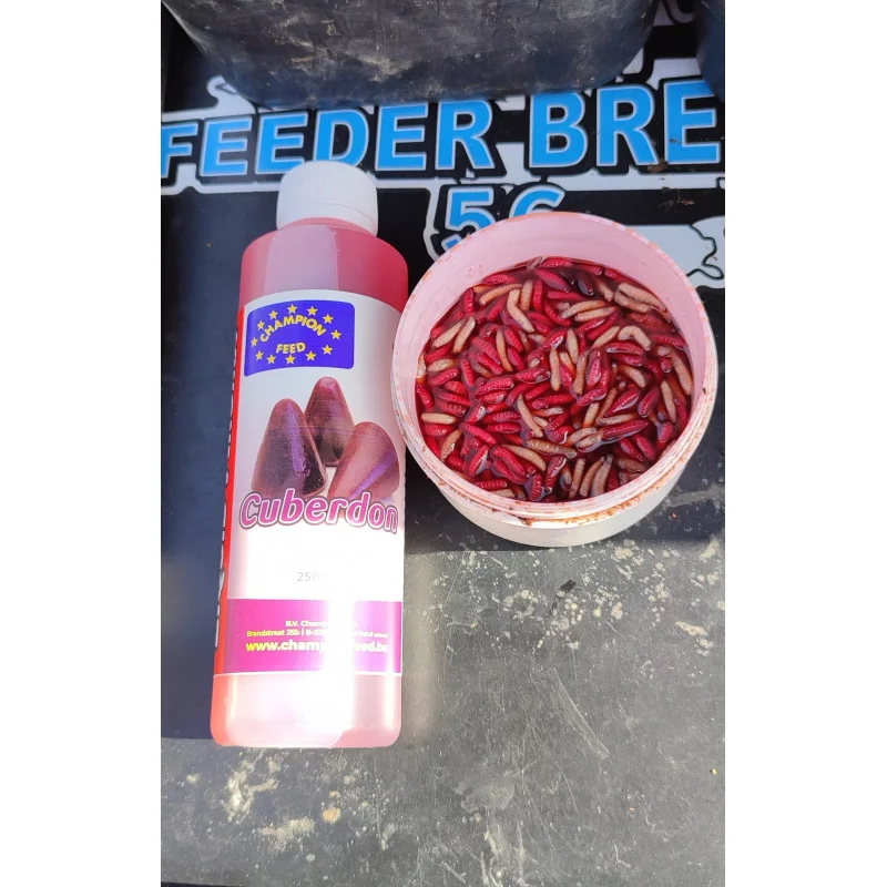 feedershop-1859327