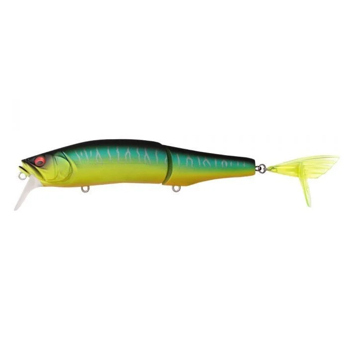 fishandnature-1840577