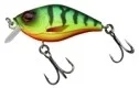 fishandnature-1841259
