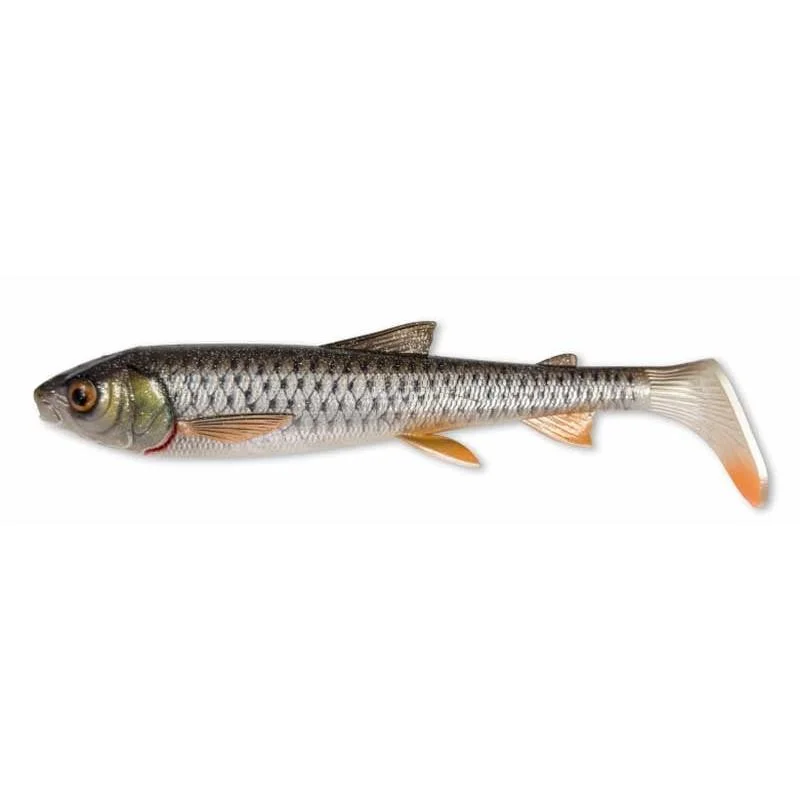 fishandnature-1841475