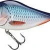 fishandnature-1842490