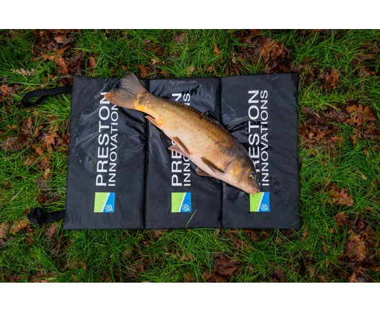 fishandnature-1844039