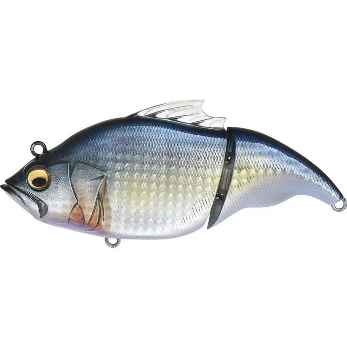 fishandnature-1846538