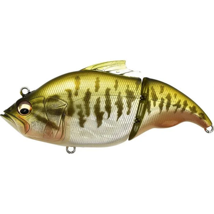 fishandnature-1846541
