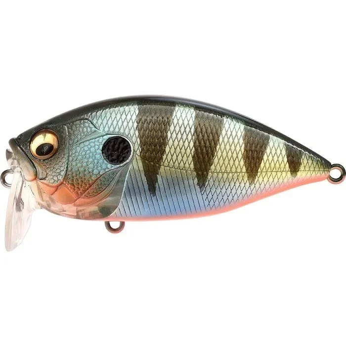 fishandnature-1848306