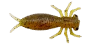 fishandnature-1849099