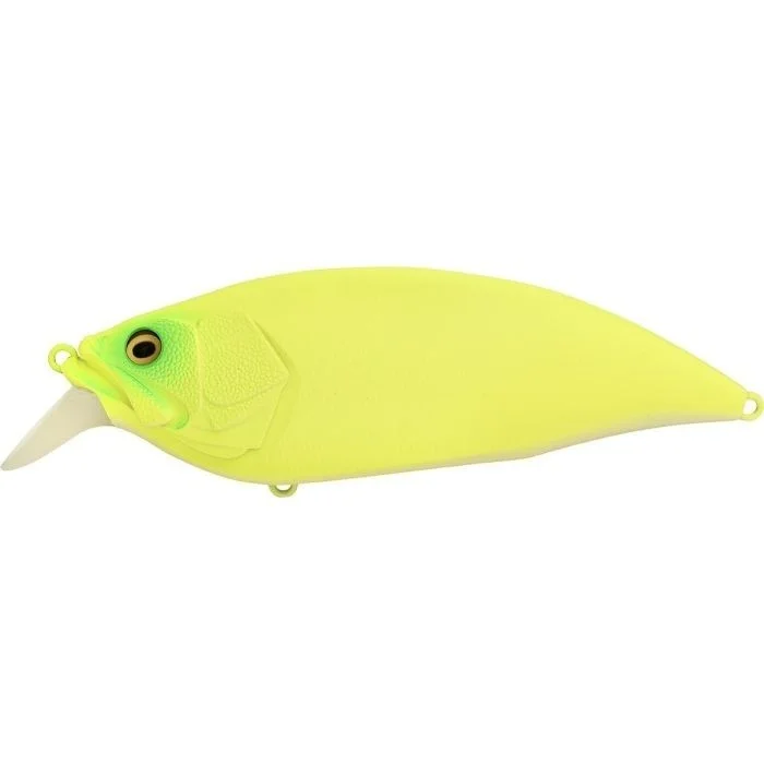 fishandnature-1849666