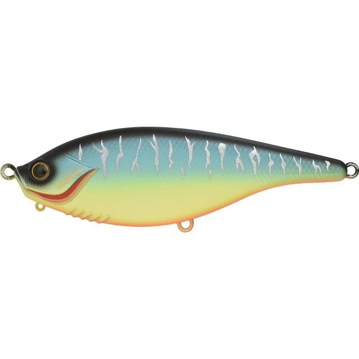 fishandnature-1856994