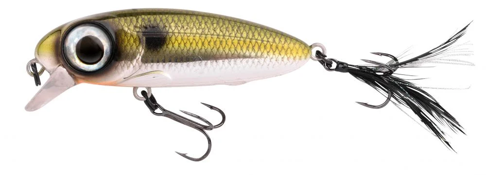 jkfisher1337408