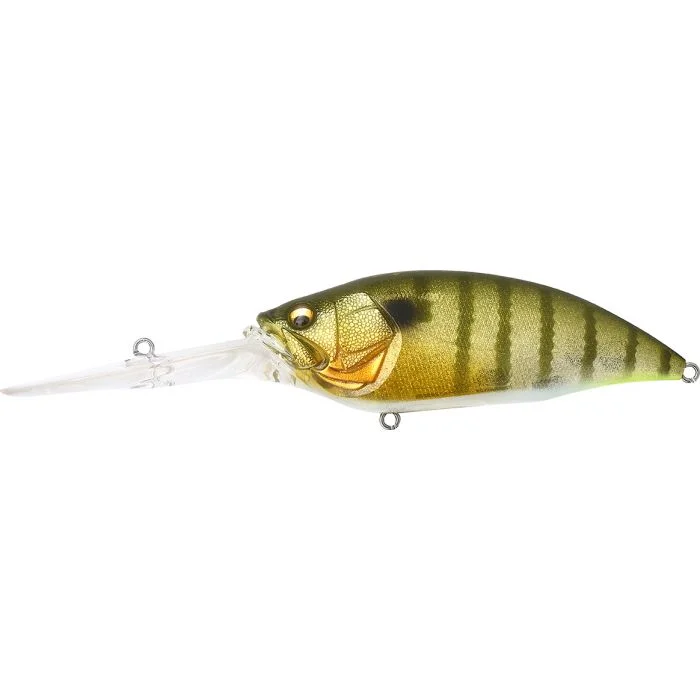 jkfisher1350167
