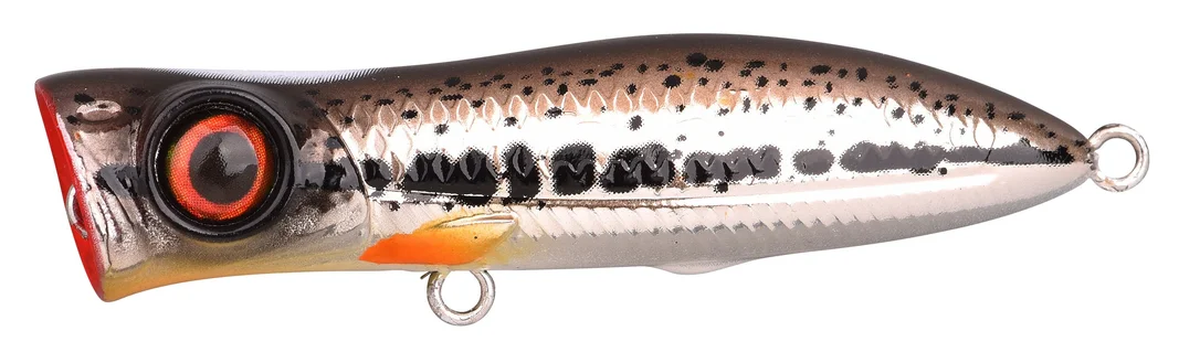 jkfisher1351163